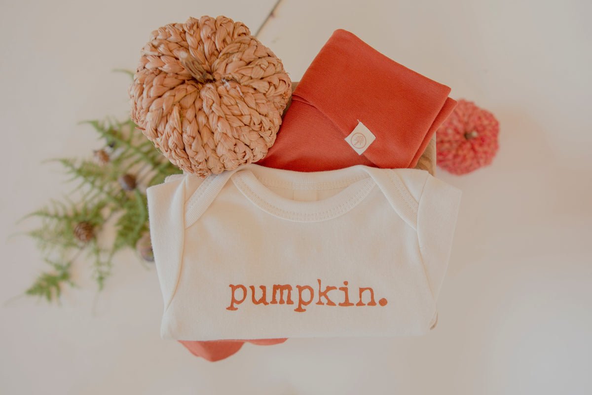 Pumpkin Organic Bodysuit Long Sleeve-zoom-13