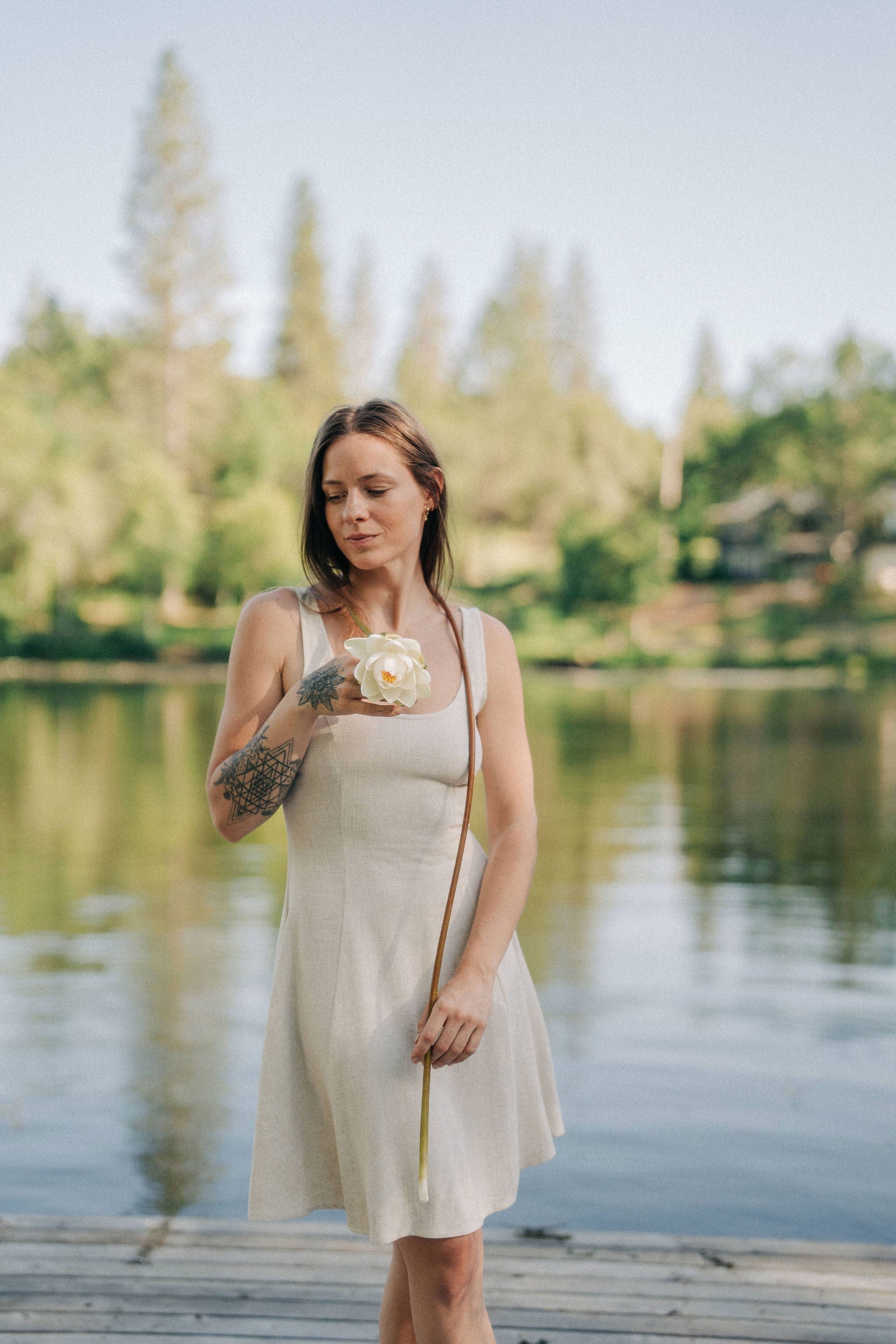 Delana Dress in Oat Linen-zoom-6