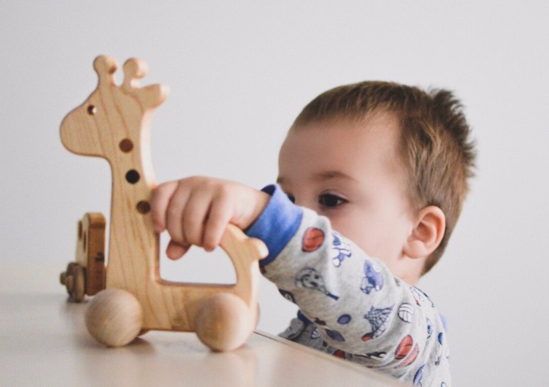 Giraffe Push Toy - Aware House