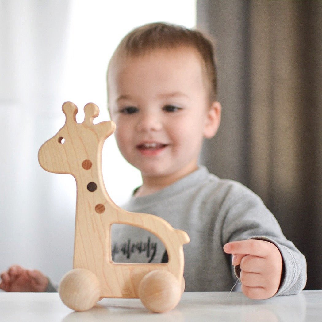 Giraffe Push Toy - Aware House