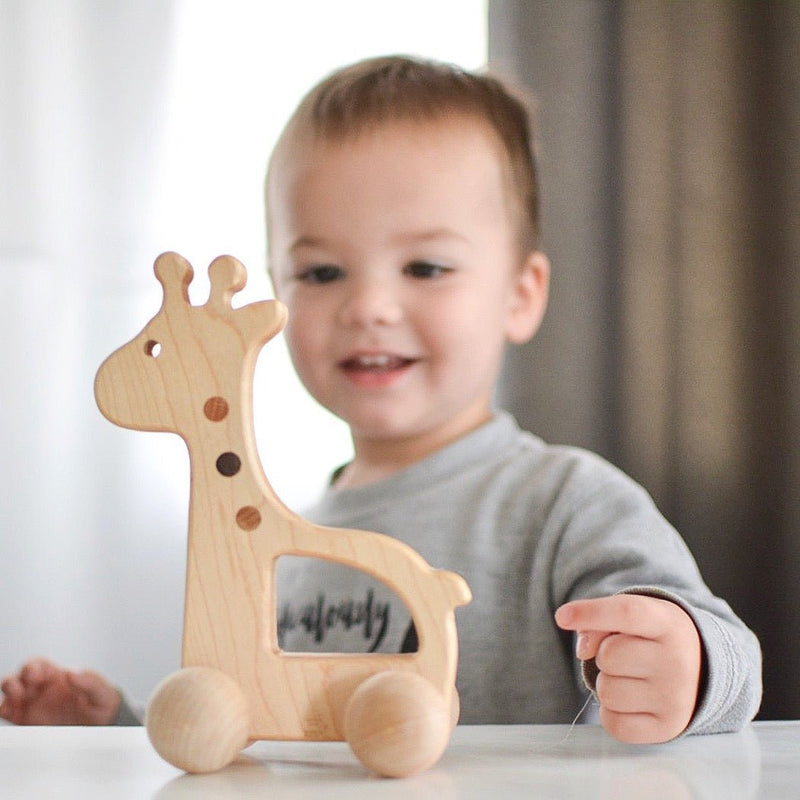 Giraffe Push Toy-zoom-
