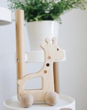 Giraffe Push Toy-zoom-
