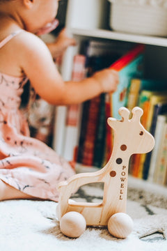 Giraffe Push Toy - Aware House