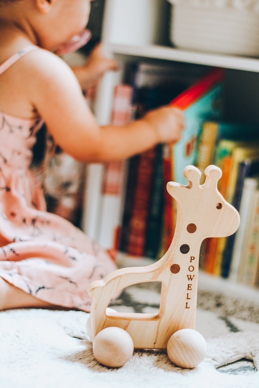 Giraffe Push Toy - Aware House