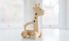 Giraffe Push Toy - Aware House