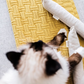Boba & Vespa Cat Kicker Toy