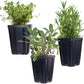 Essential Herb Collection Rosemary Sage Thyme Quart Pots
