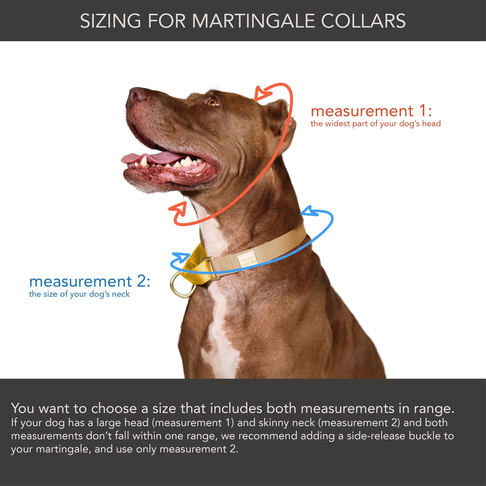 Martingale Dog Collar | Peach + Pink-5