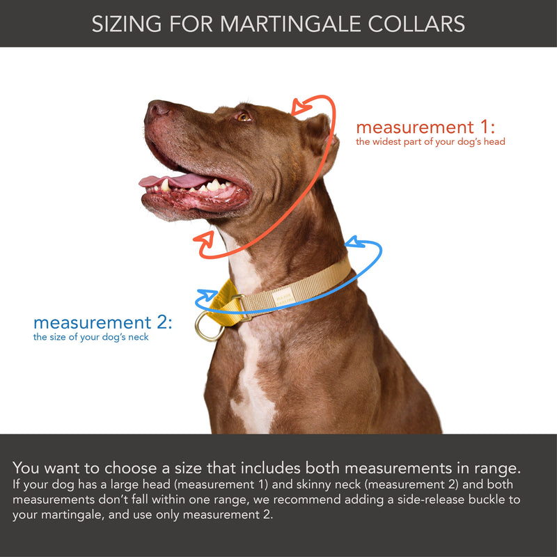 Martingale Dog Collar / Pink + Orange-zoom-