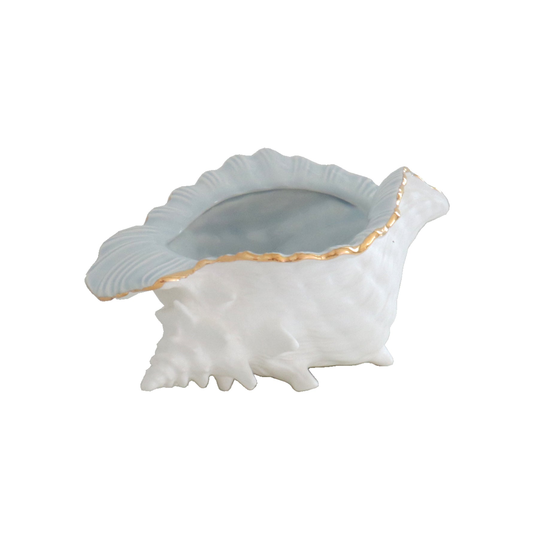 Conch Bowl with 22K Gold Accent - Aware House