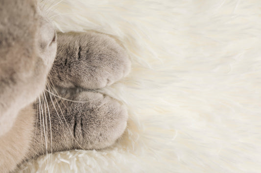LUNA Loaf Blanket