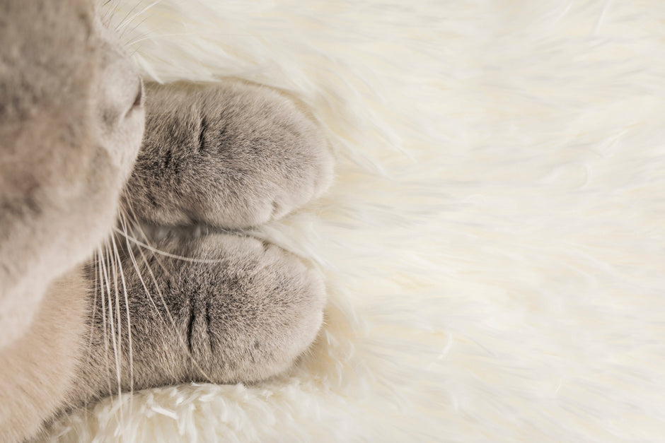 LUNA Loaf Blanket