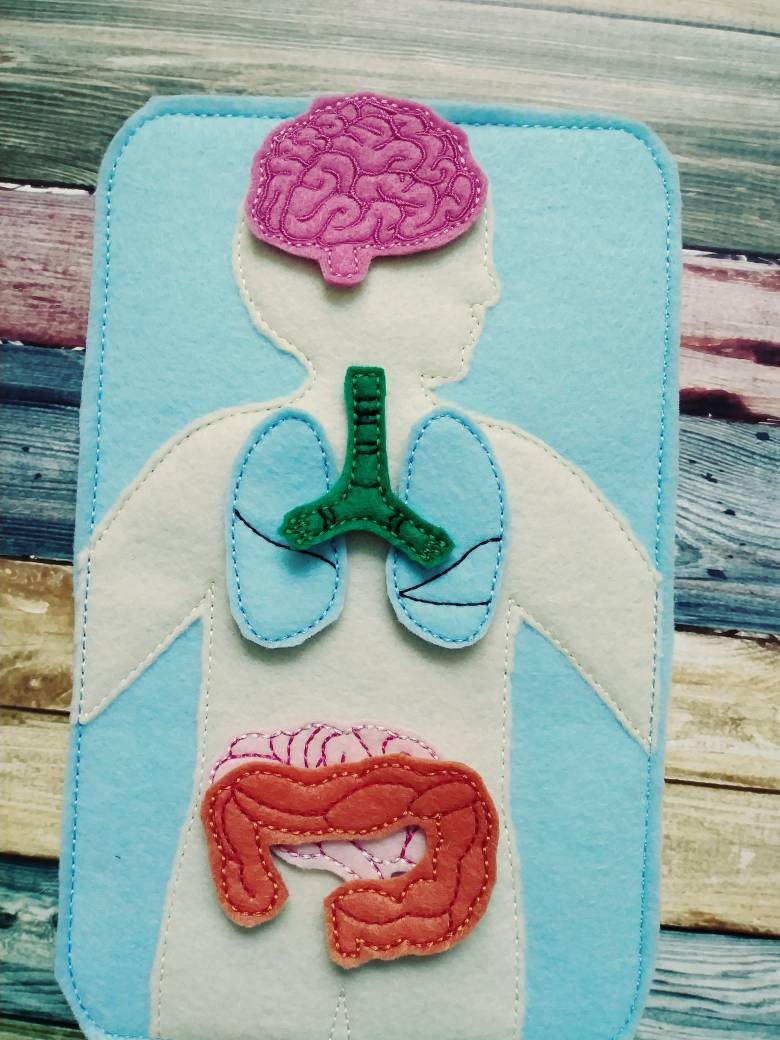 Anatomy Felt Learning Board | Human Body Educational Toy - Aware House