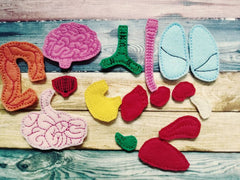 Anatomy Felt Learning Board | Human Body Educational Toy - Aware House