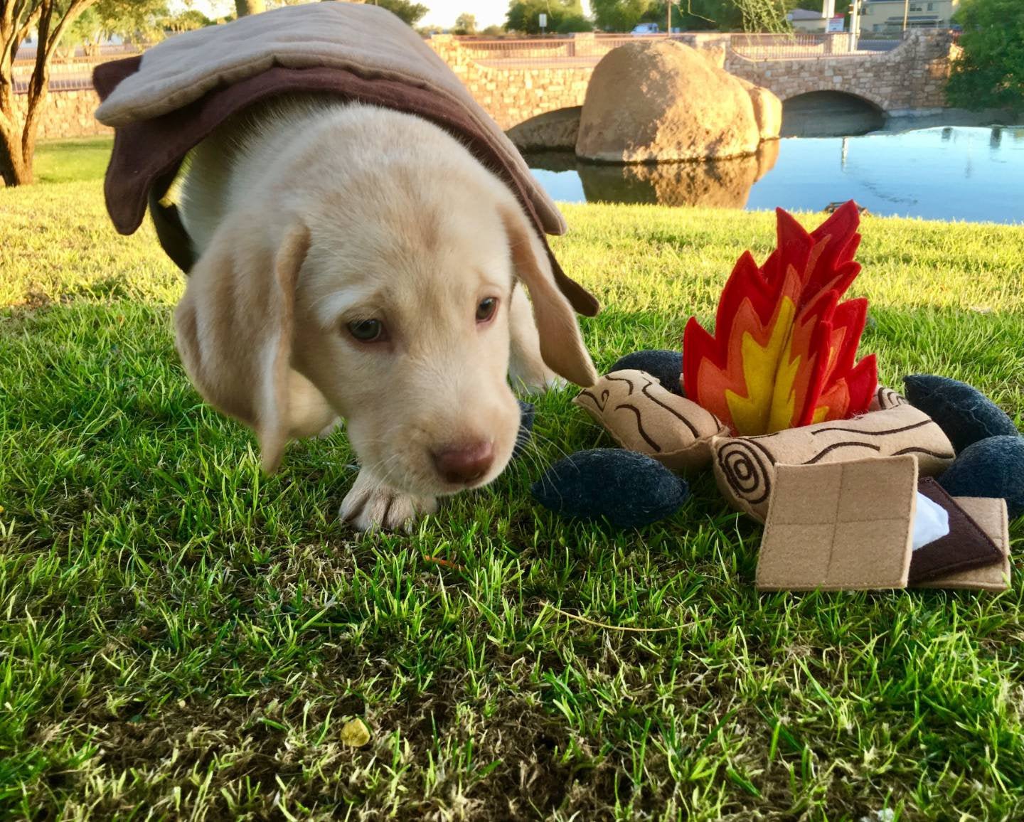 Felt Campfire Play Set | Kids Pretend Play Toy - Aware House