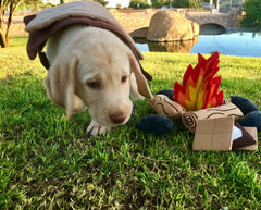 Felt Campfire Play Set | Kids Pretend Play Toy - Aware House