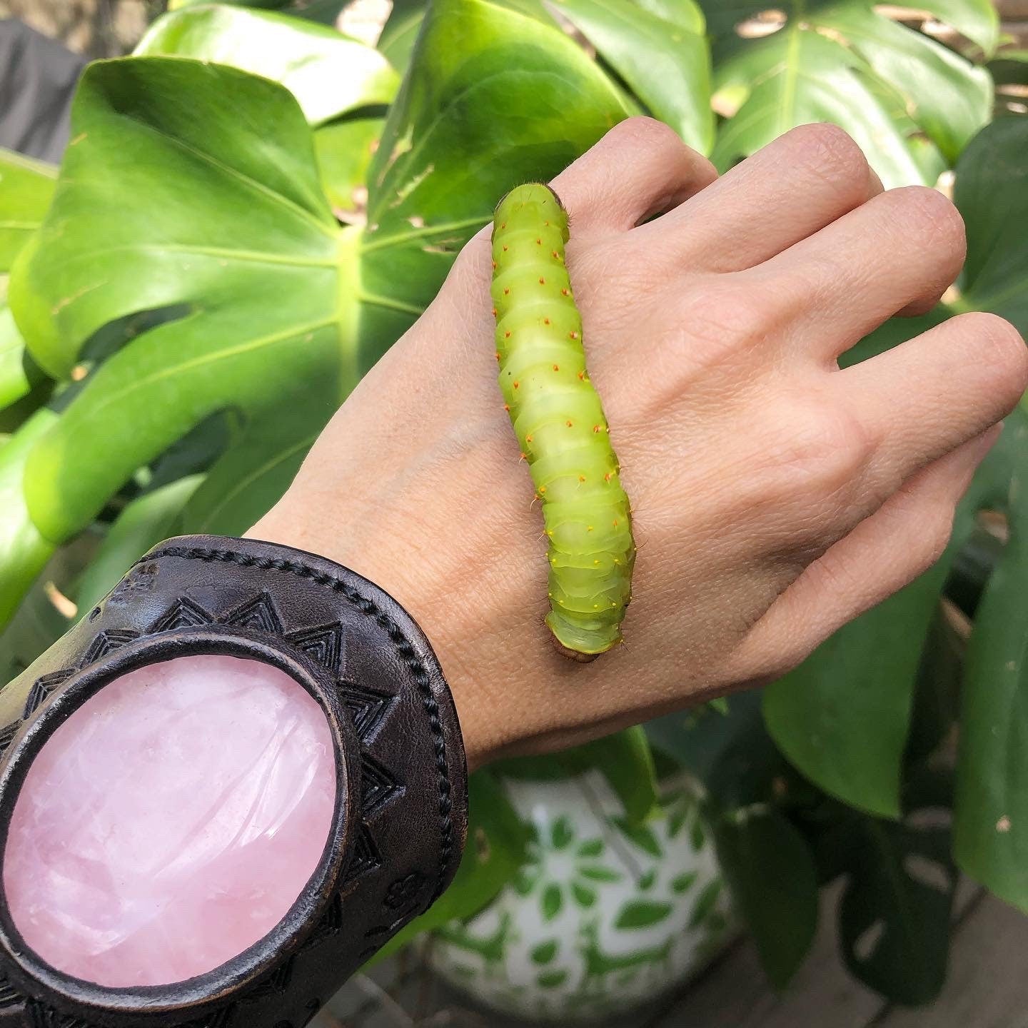 Handmade Luna Moth Hoop Earrings-zoom-9