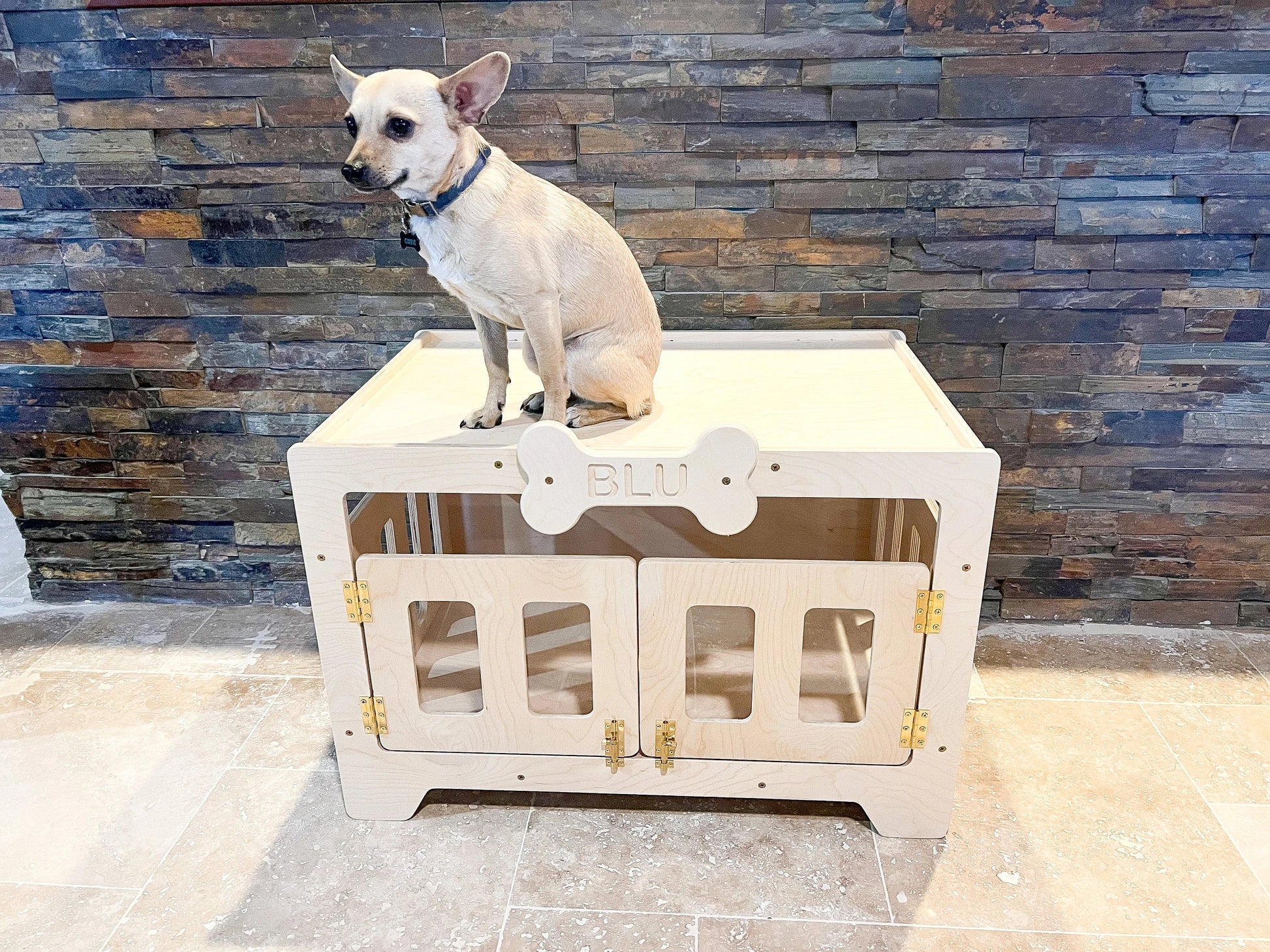 Blu | Modern Dog House-4