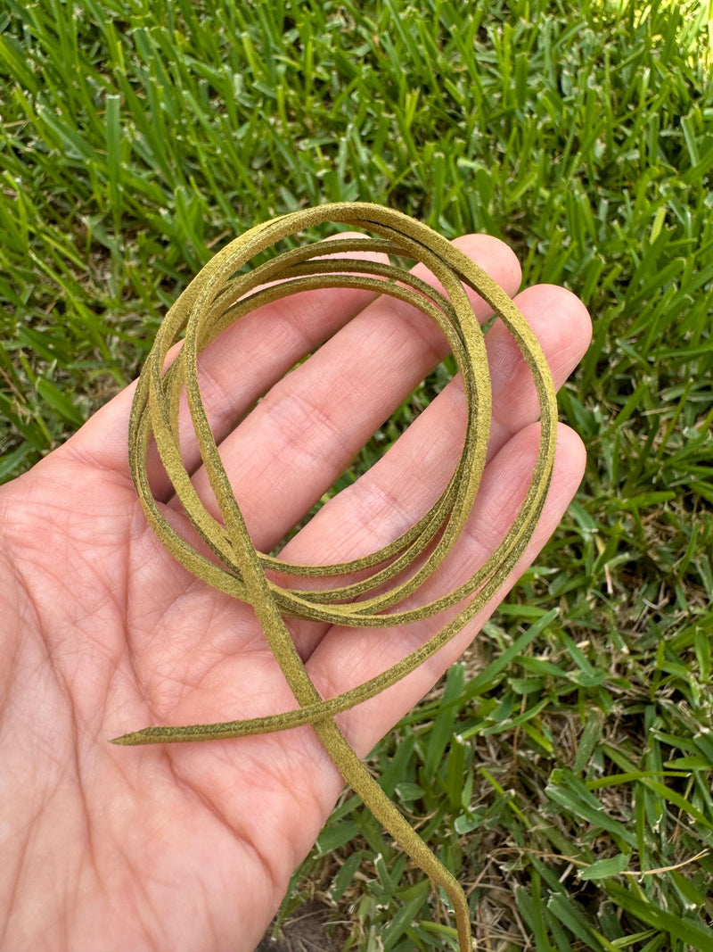 Fish Skeleton Hat Band-zoom-