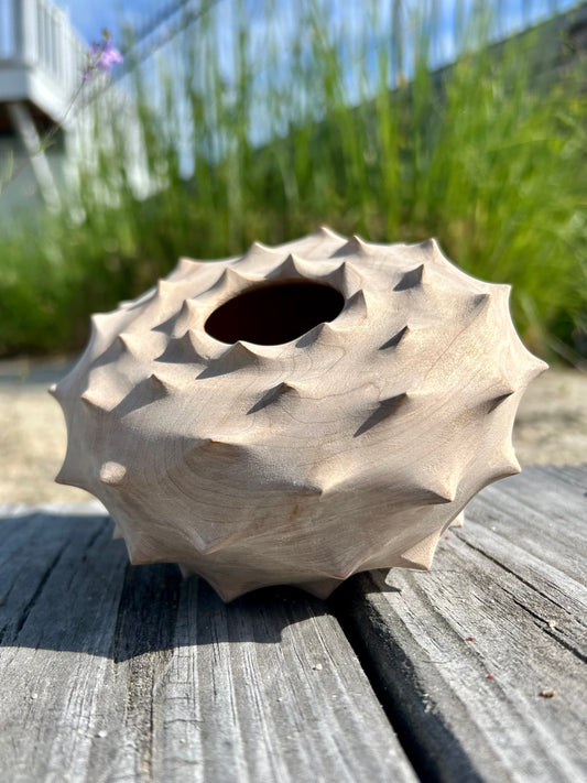 Urchin Form in Red Maple