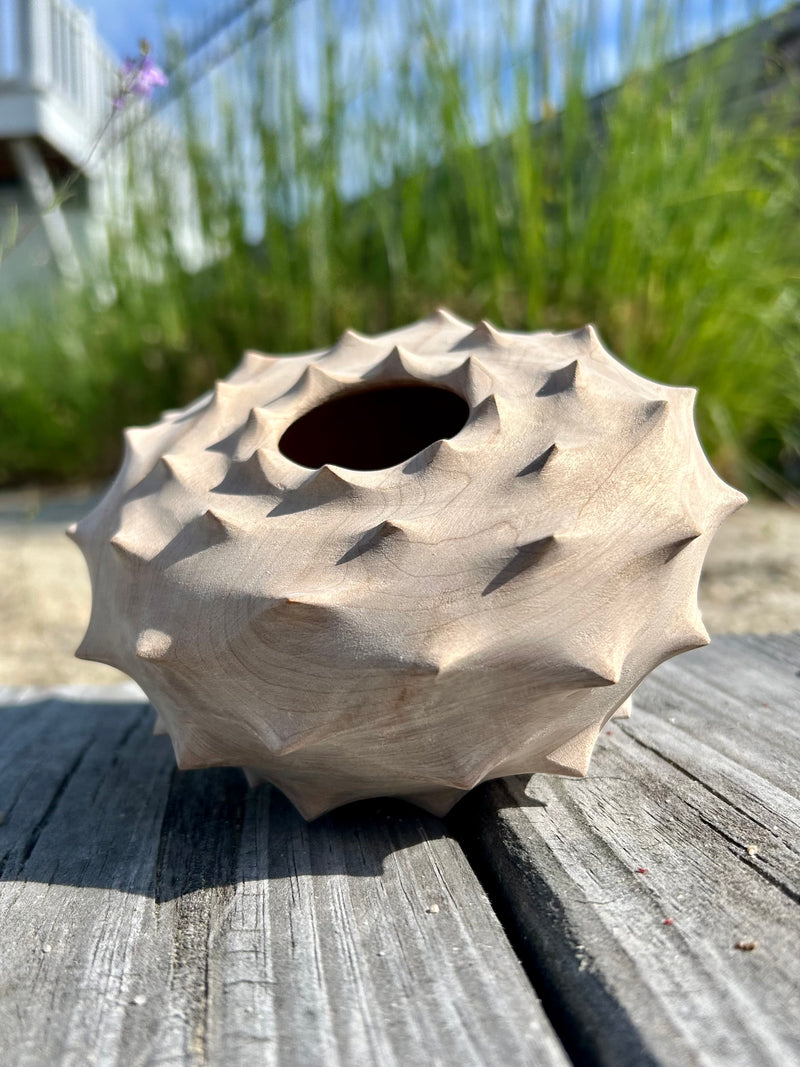 Urchin Form in Red Maple-zoom-
