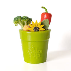 Large Flower Pot eCup Dog Treat Dispenser - Aware House
