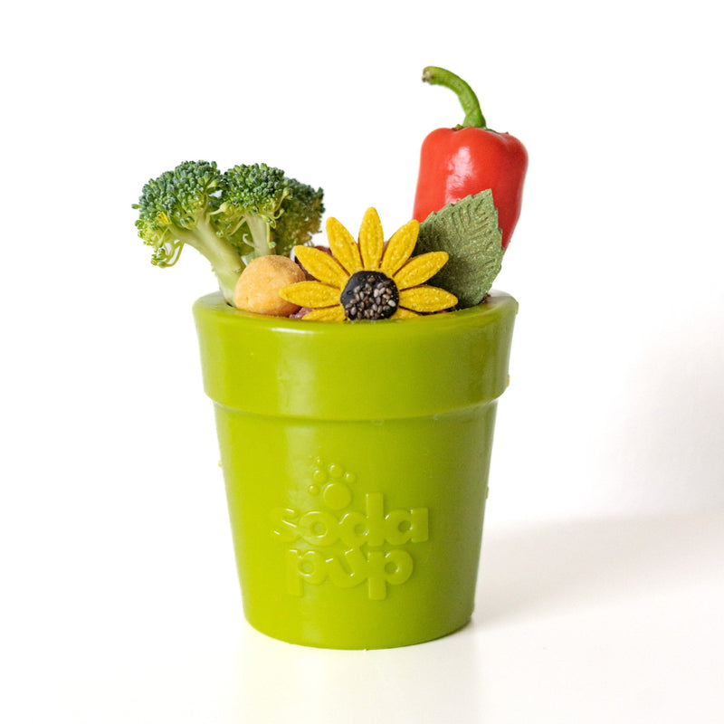 Large Flower Pot eCup Dog Treat Dispenser-zoom-