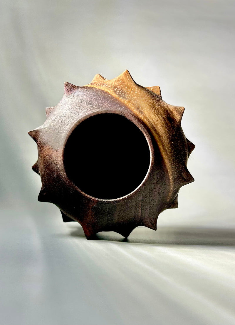 Black Walnut Urchin Hollow Form-zoom-
