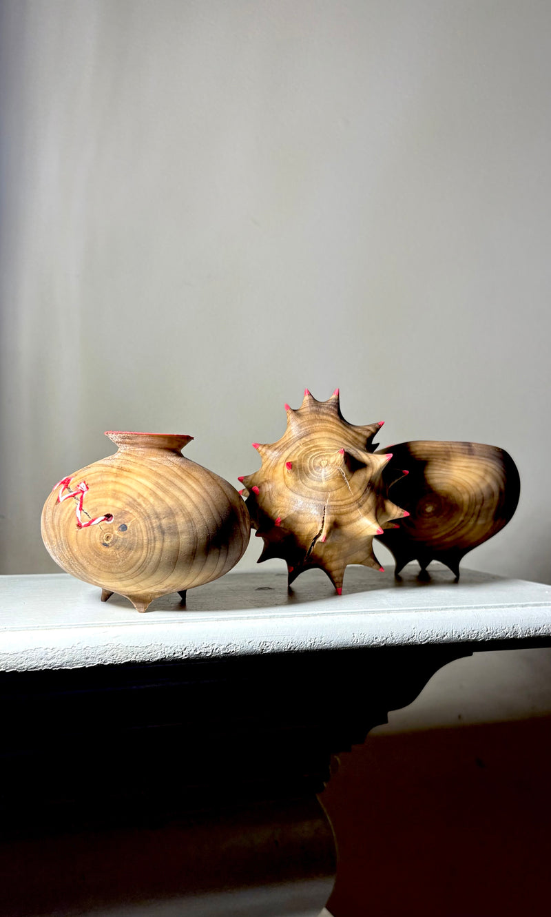 Southern Magnolia Trio-zoom-