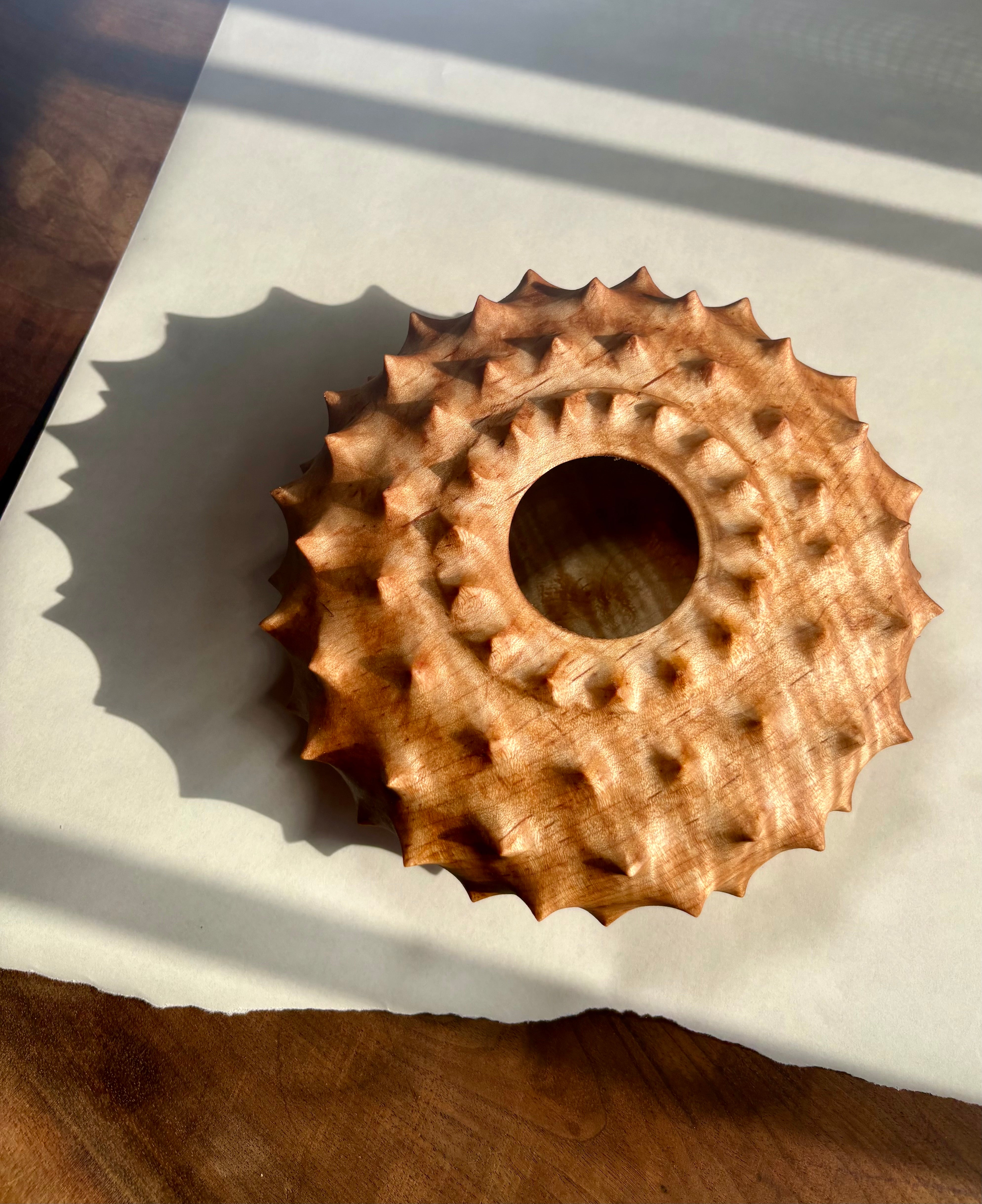 Urchin Form in Curly Red Maple