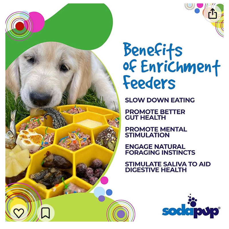 Honeycomb eBowl Deep Slow Feeder Dog Bowl-zoom-