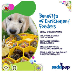 Honeycomb eBowl Deep Slow Feeder Dog Bowl - Aware House