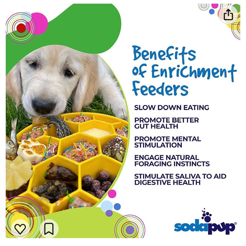 Honeycomb eBowl Deep Slow Feeder Dog Bowl-zoom-