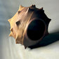 Black Walnut Urchin Hollow Form