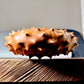 Urchin Form in Curly Red Maple