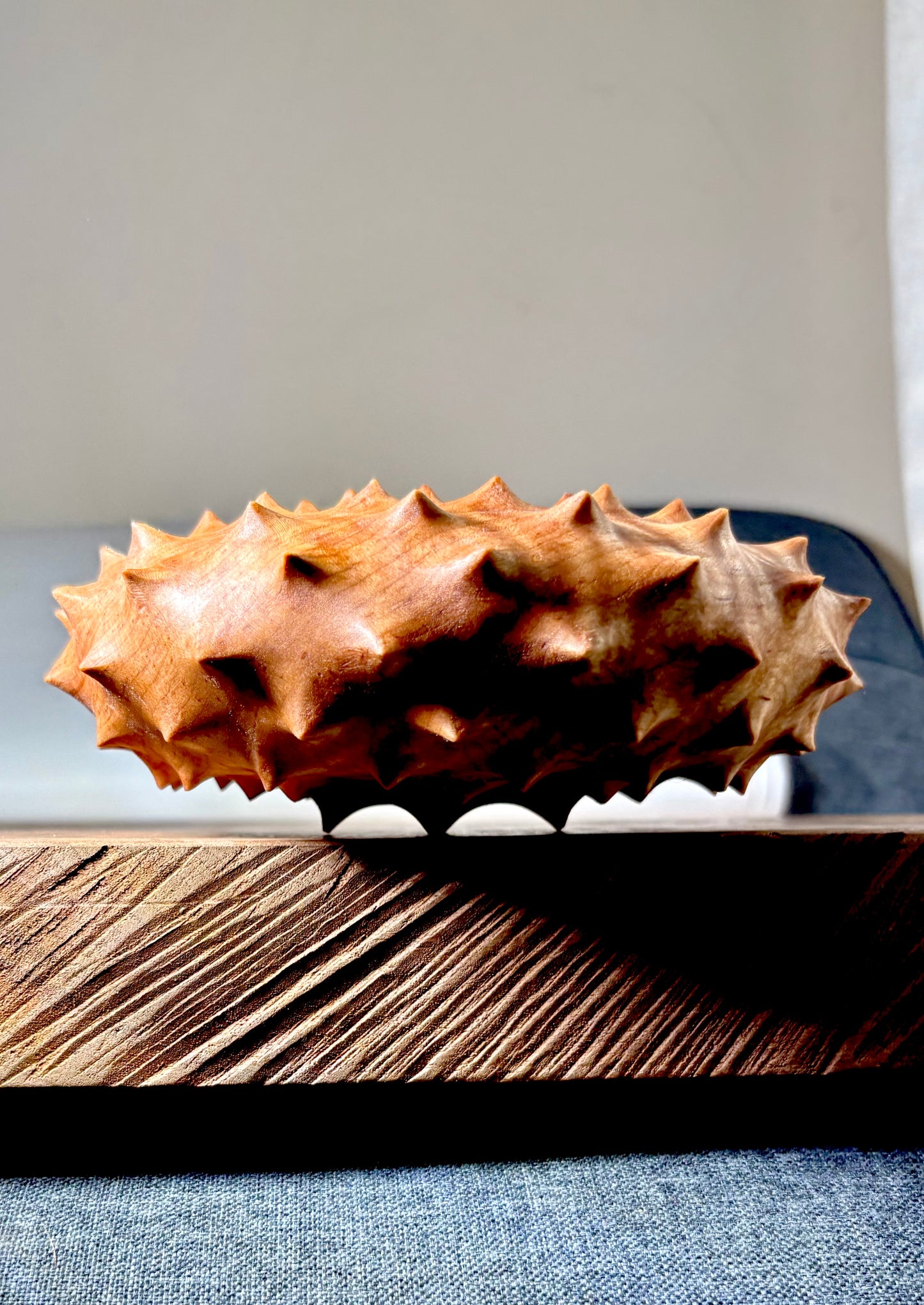 Urchin Form in Curly Red Maple