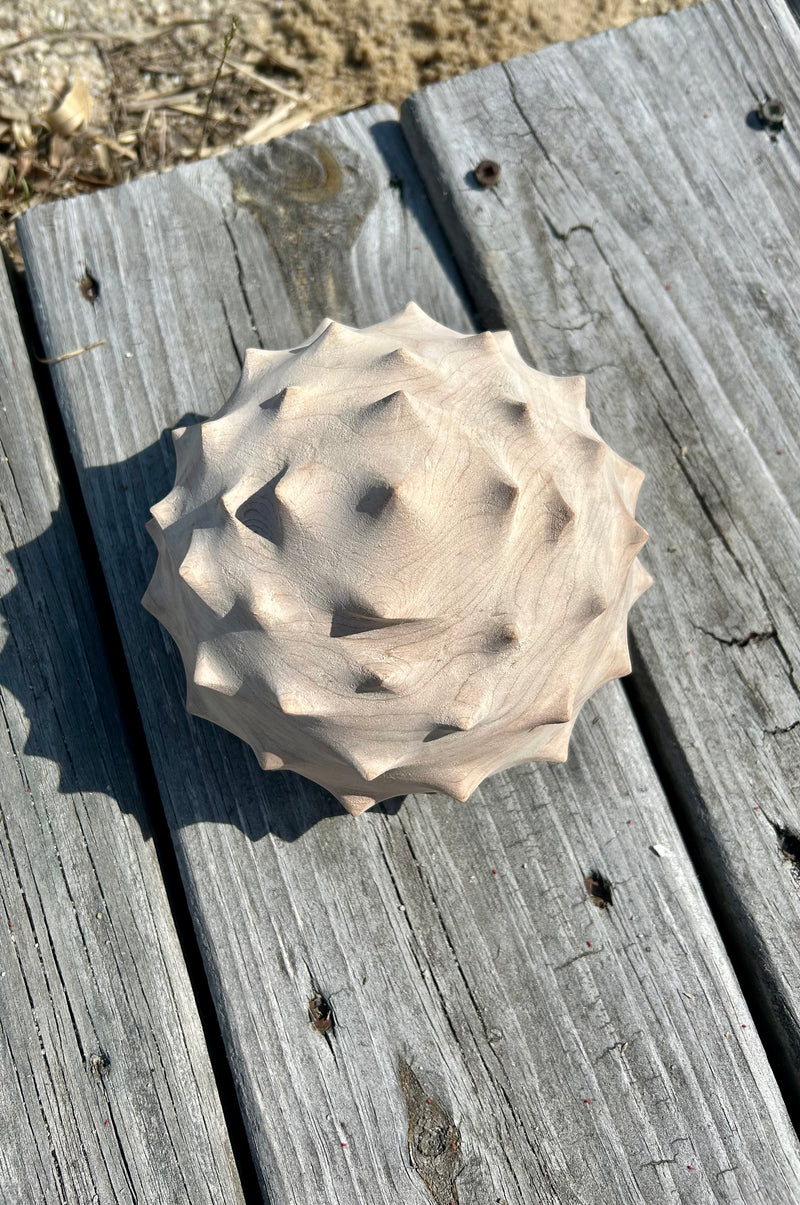 Urchin Form in Red Maple-zoom-