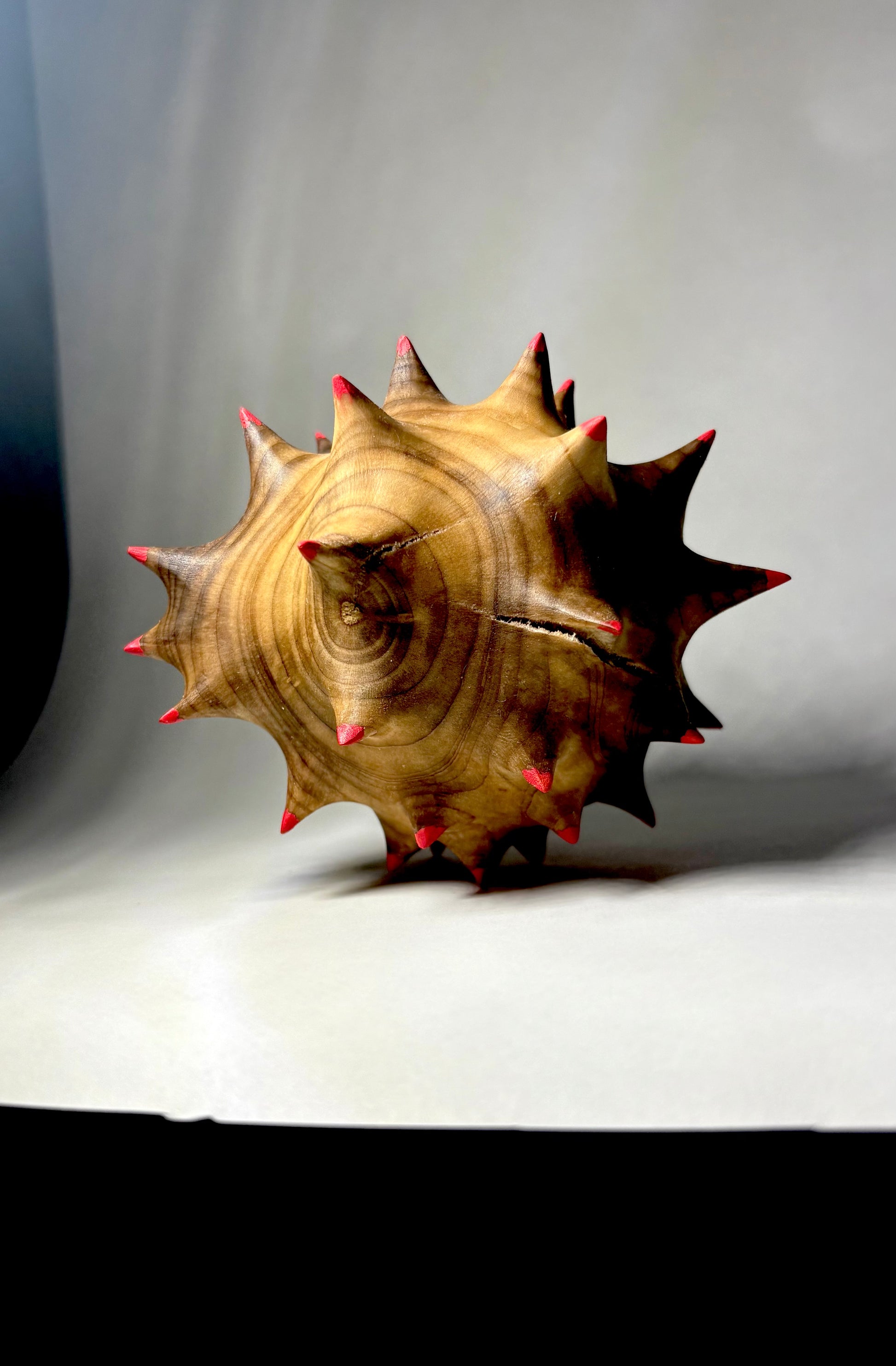 Southern Magnolia Trio-3