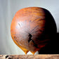 North Carolina Red Oak Burl Caldron