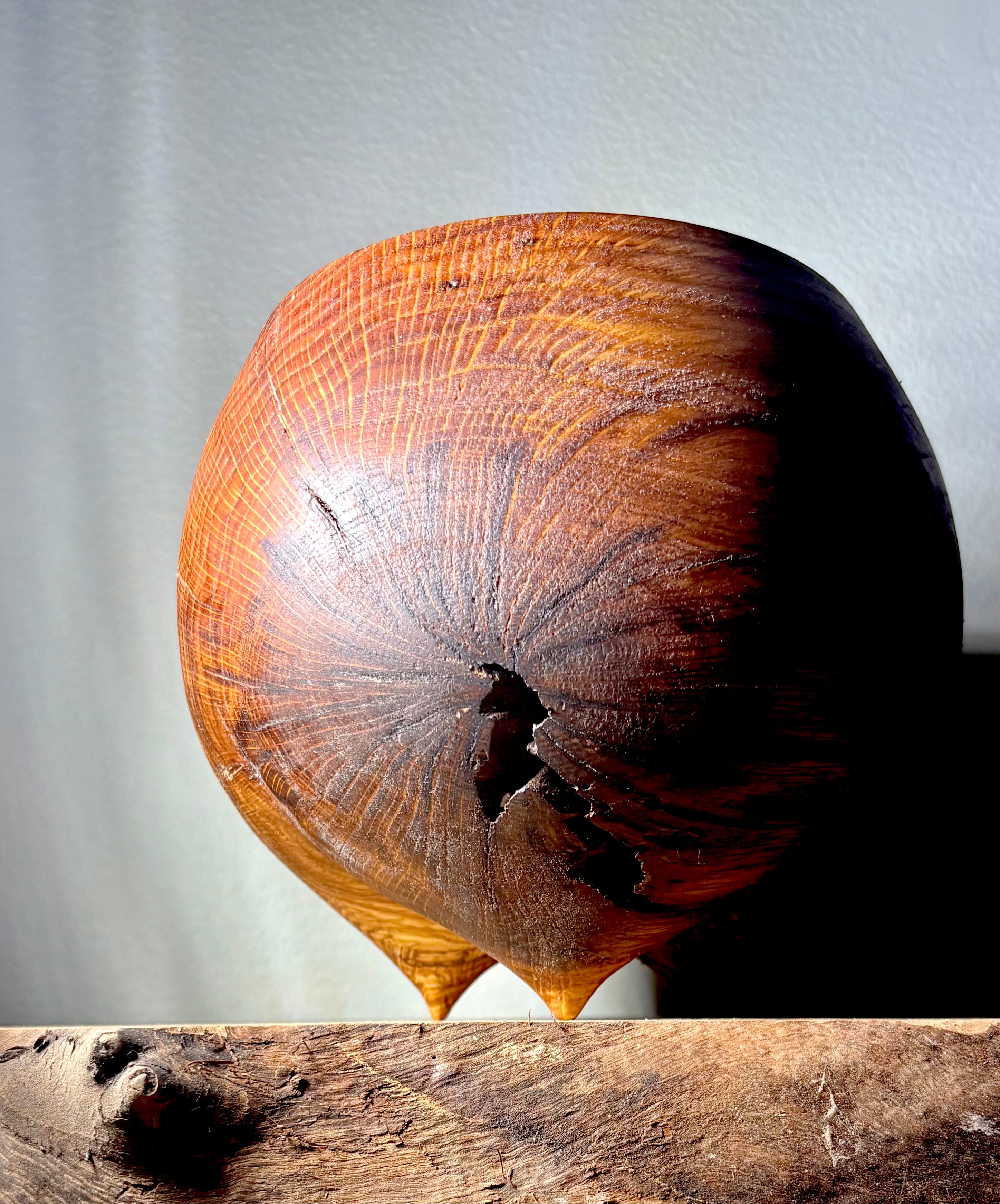 North Carolina Red Oak Burl Caldron