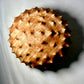 Urchin Form in Curly Red Maple