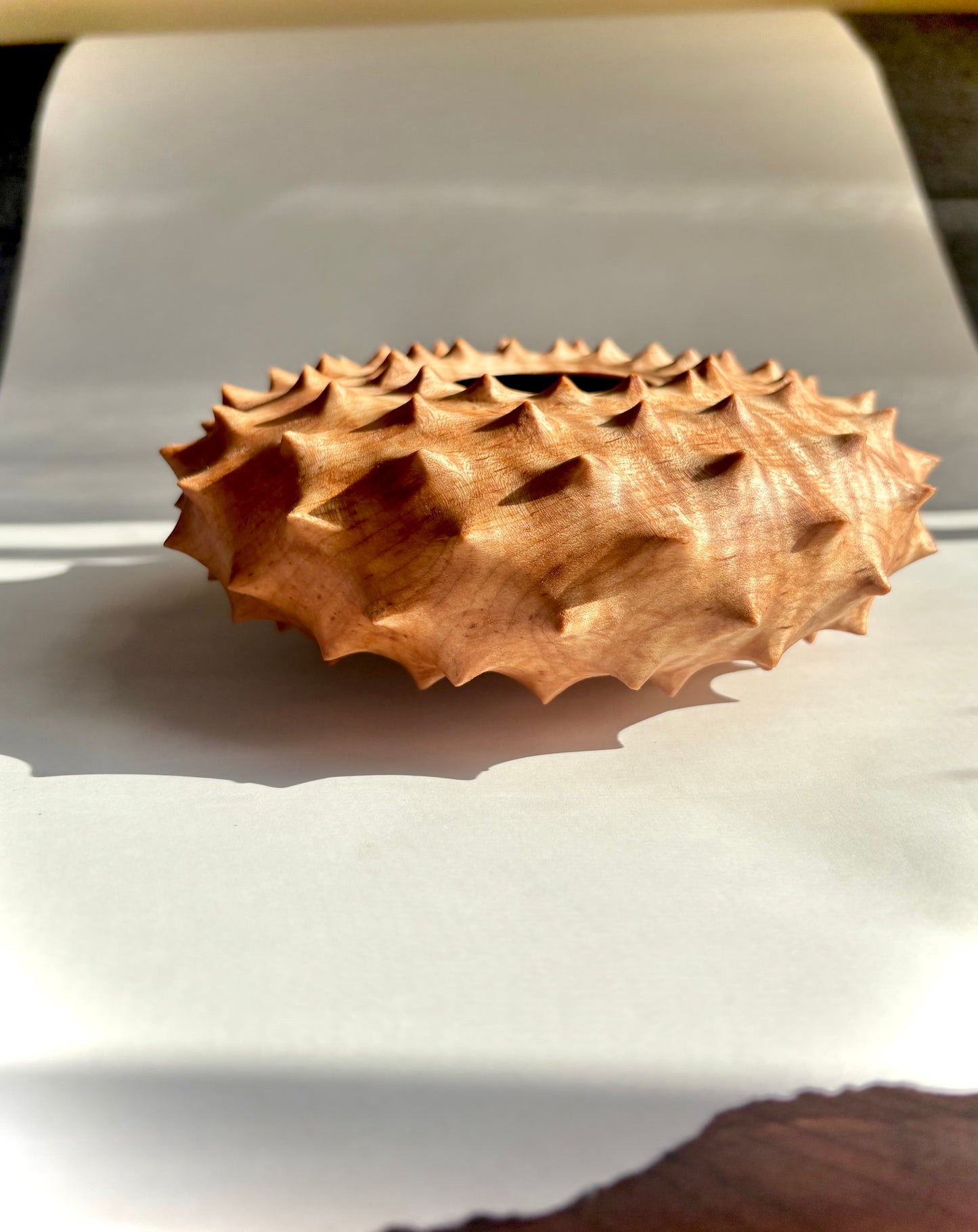 Urchin Form in Curly Red Maple