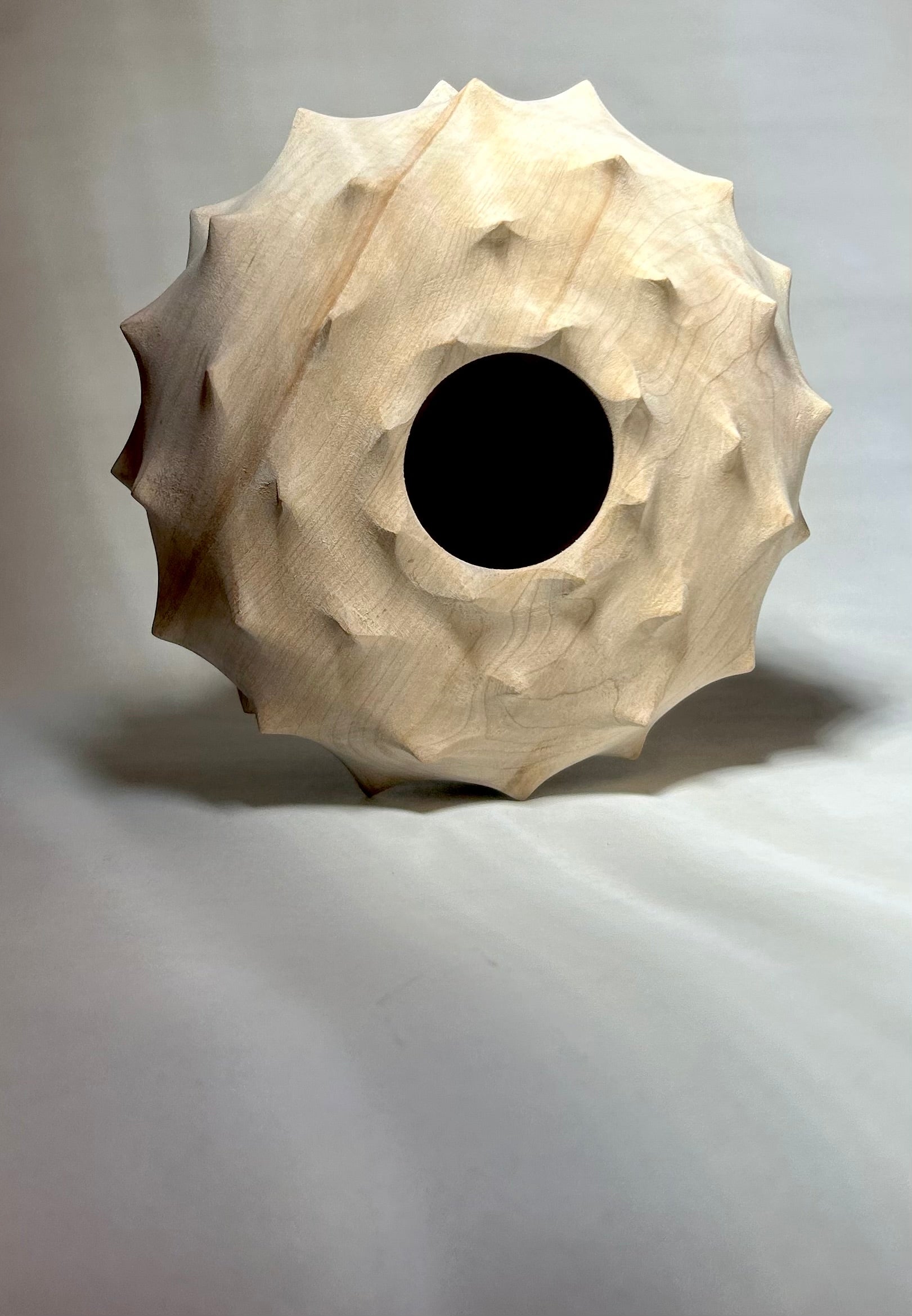 Urchin Form in Red Maple-zoom-4