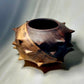 Black Walnut Urchin Hollow Form