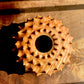 Urchin Form in Curly Red Maple