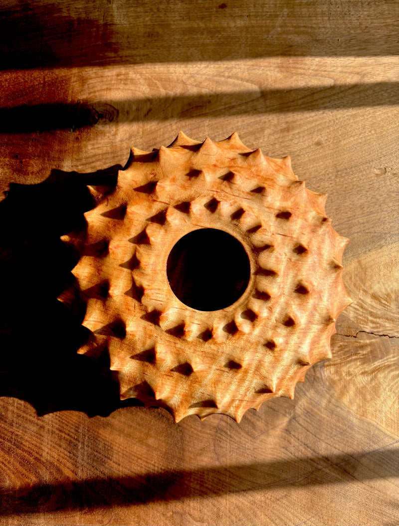 Urchin Form in Curly Red Maple-zoom-