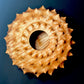 Urchin Form in Curly Red Maple