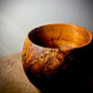 North Carolina Red Oak Burl Caldron