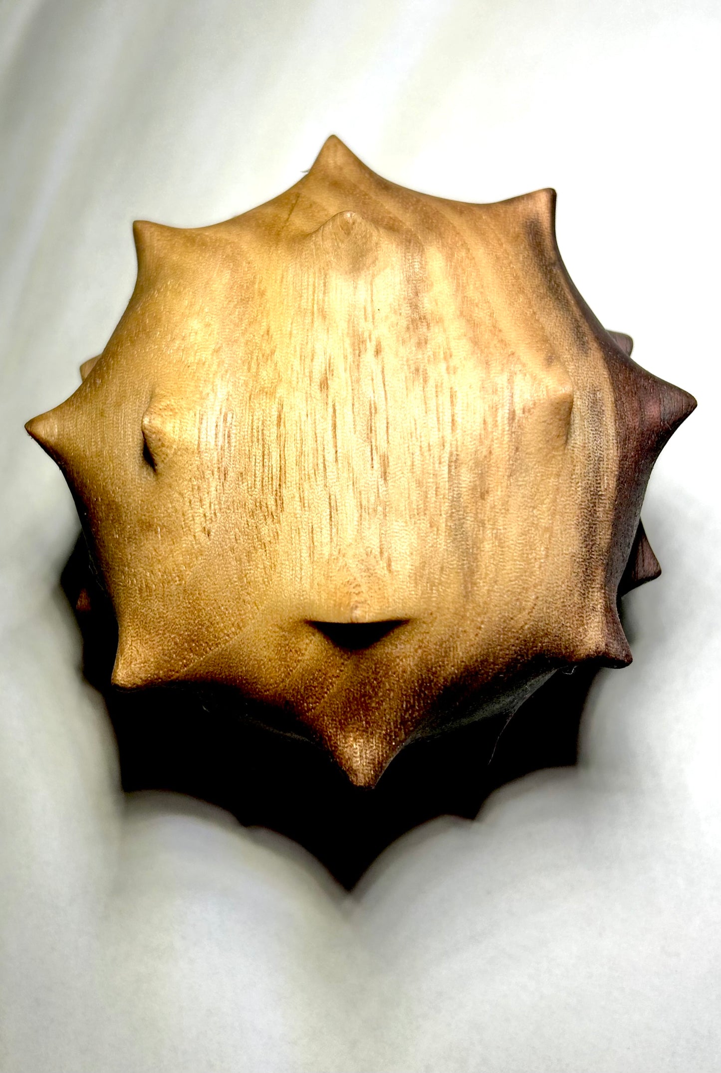 Black Walnut Urchin Hollow Form