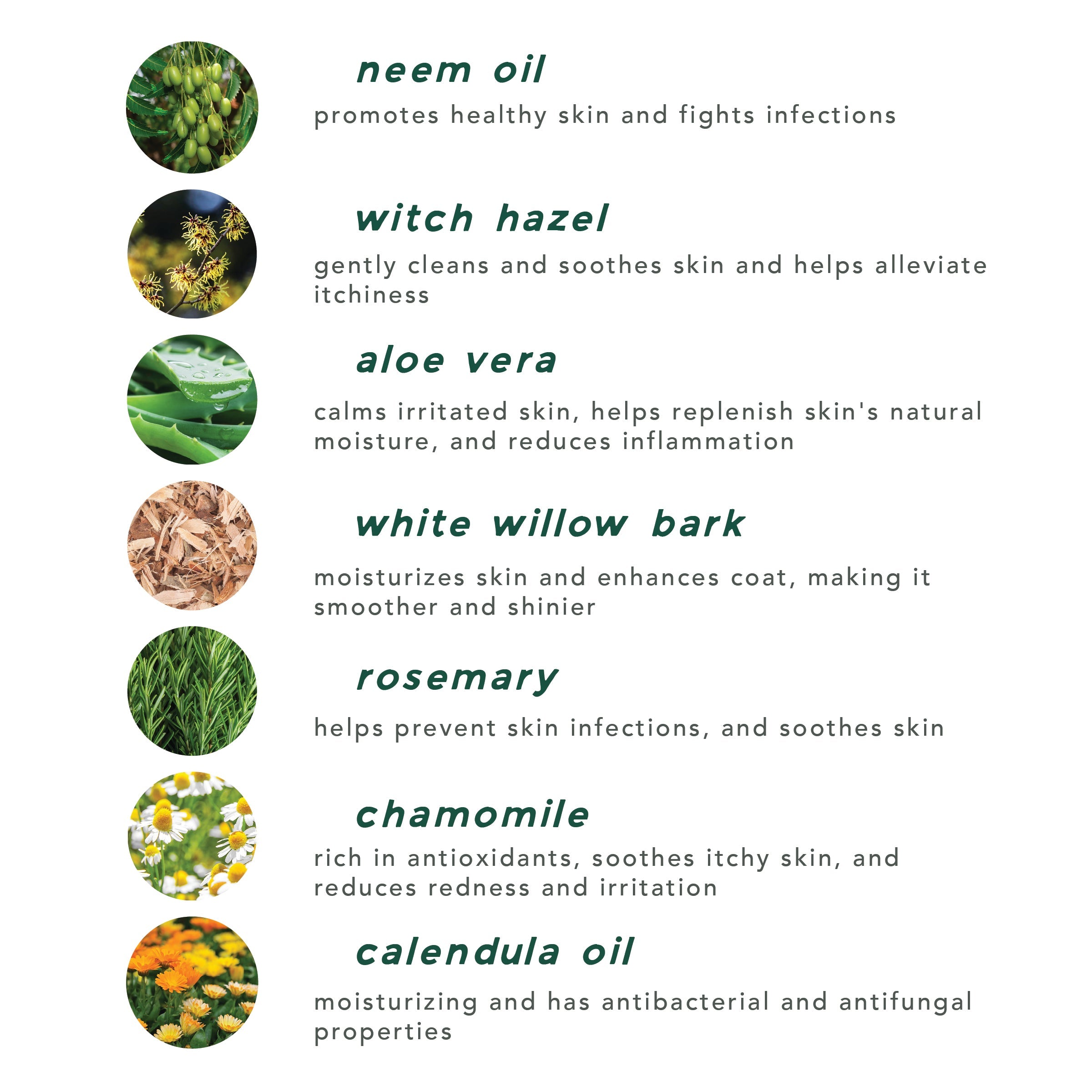 Pet Skin Tonic + Ear Wash-zoom-2